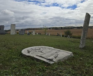 Headstones in a cemetery